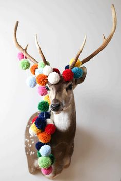 a deer with multi colored pom - poms on its antlers is standing in front of a white wall