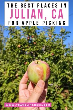 someone holding an apple in their hand with the words best places in julian, ca for apple picking