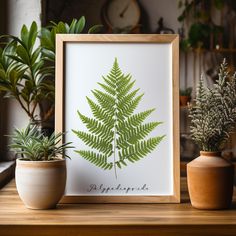 two potted plants sitting next to each other on top of a wooden table in front of a framed photograph