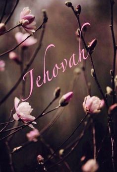 the words jehoash are written in pink ink on a background of branches with flowers