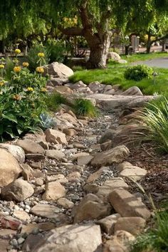 a garden with rocks and flowers in the foreground, along side a path that leads to a tree