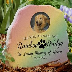 a memorial stone with a dog's photo on it in the middle of flowers