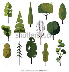 various types of trees on white background