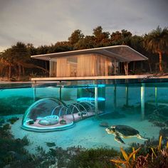 an underwater house with a turtle swimming in the water next to it's entrance