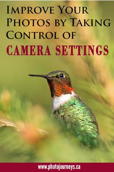 a hummingbird with the words improve your photos by taking control of camera settings