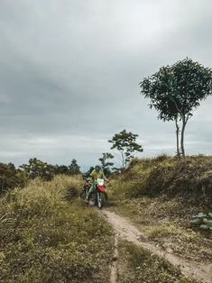 two people riding motorcycles on a dirt road near a tree and grass covered hill side