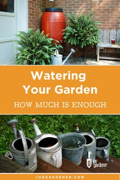 watering your garden how much is enough