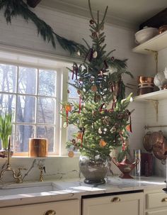 a small christmas tree in a kitchen next to a window