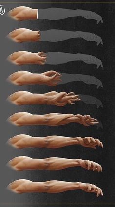 an image of hands with different gestures on them