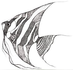 an ink drawing of a fish in black and white, with lines on it's side