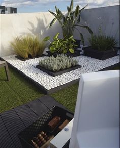 an outdoor area with grass, rocks and plants