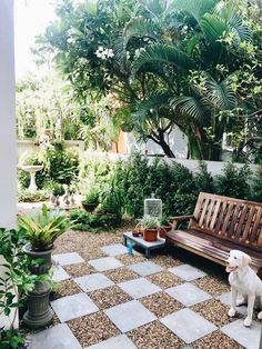 a white dog sitting on top of a wooden bench next to a lush green forest