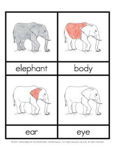 an elephant and its baby are shown in four different ways to describe each other's body