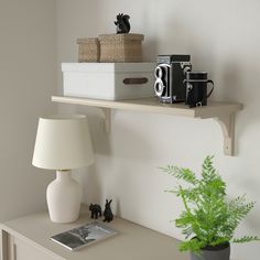 a shelf with two cameras and a lamp on it next to a potted plant