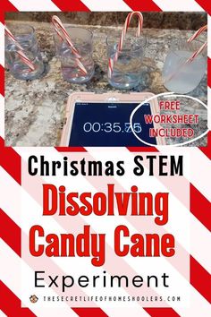 Have some STEM fun with candy canes. Here is a science experiment in which kids test which solutions can dissolve candy canes quickest. You'll be surprised with the results. This is a perfect family Christmas STEM project for when you have finished with your candy canes this holiday season. Candy Cane Projects For Kids, Candy Cane Reindeer Craft For Kids, Christmas Stem Activities For Kids, Christmas Science Experiments For Kids, Christmas Stem Projects, Christmas Stem Challenge, Candy Cane Experiment, Christmas Science Activities, Christmas Stem Activities