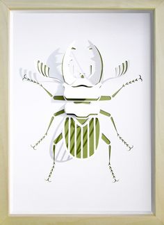 a paper cut insect is displayed in a white frame with green and white stripes on it