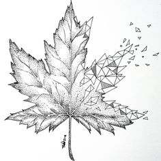 a black and white drawing of a leaf with triangles in the background, as if it were an origami