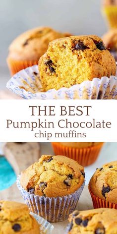 the best pumpkin chocolate chip muffins