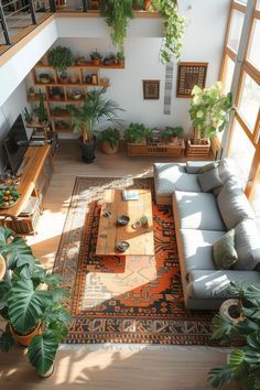 an overhead view of a living room with plants