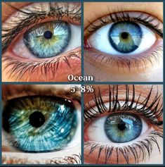 Unique Eye Color, Electric Blue Eyes, Jade Eyes, Blue Eye Color, Teal Eyes