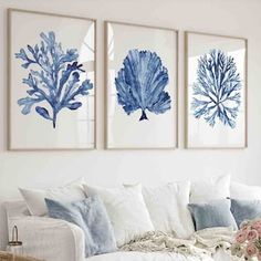 three blue and white seaweed prints hanging on a wall above a couch in a living room