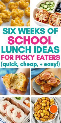 six weeks of school lunch ideas for picky eaters quick, cheap, and easy