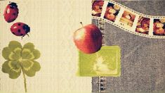 an apple and four leaf clovers are on the side of a paper with pictures of ladybugs