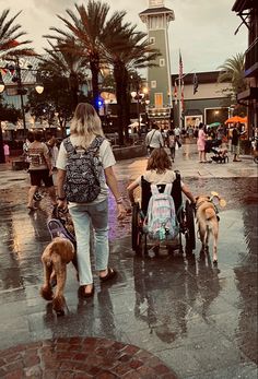 Two service dogs yelling in the rain at Disney Mobility Service Dog, Puppy Things, Aesthetic Dream, Dogs Stuff