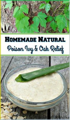 While spending some time outdoors in the nice weather did you run into poison ivy or poison oak? If you did I am sure you are itching like crazy! I am going to show you how to make my Homemade Natural Poison Ivy Relief. Poison Oak Remedies How To Get Rid, Poison Oak Remedy, Poison Ivy Relief, Poison Ivy Remedies, Bug Repellant, Poison Oak, Random Tips, Holistic Health Remedies, Garden Solutions