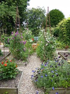 a garden filled with lots of different types of flowers