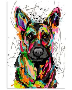 a dog with colorful paint splatches on it's face and head, in front of a white background