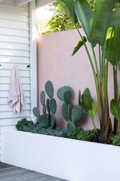 a planter filled with green plants next to a pink wall