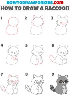 how to draw a cartoon raccoon with easy step by step instructions for kids