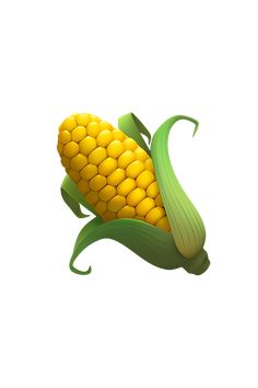 an ear of corn is shown on a white background with green leaves and yellow kernels