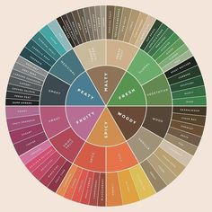 a color wheel with different colors in it