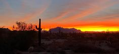 the sun is setting in the desert with many cacti