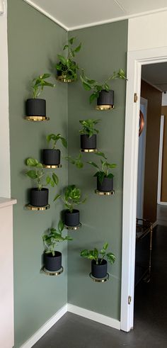 there are many potted plants in the corner of this room, hanging on the wall