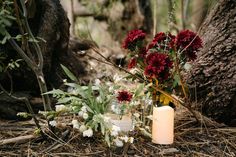 a candle and flowers on the ground next to a tree in the woods with no leaves