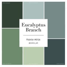 the eucalyptusplus branch logo and color scheme