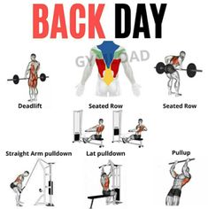 an image of the back day exercises for people to do in their home gyms