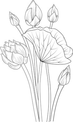 three flowers that are in the middle of a line art drawing style, on a white background