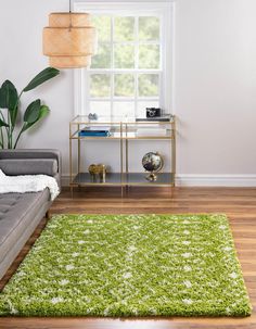 a living room with a couch, coffee table and green rug on the hardwood floor