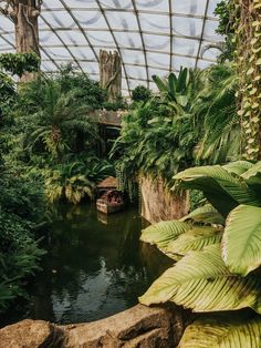 a boat is in the water surrounded by trees and plants