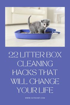 a kitten sitting in a litter box with the words, 22 litter box cleaning hacks that will change your life