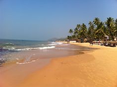 a beach with people walking on it and palm trees in the background at low tide