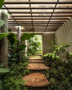 the walkway is lined with green plants and rocks, leading to an outdoor area that has a pergolated roof