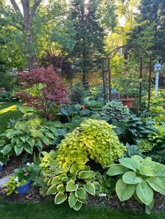 a garden filled with lots of different types of flowers and plants in the middle of it