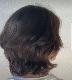 Luz Haircut, Wolfcut Back View, Butterfly Bob Haircut, Medium Short Layered Hair, Short Jellyfish Cut, Short Butterfly Cut, Butterfly Haircut Short, Oval Face Haircuts Short, Short Pigtails