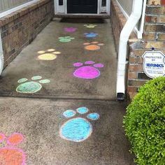 a dog's paw prints are painted on the sidewalk in front of a house