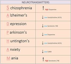 two different types of neurotransmitters are shown in this table diagram